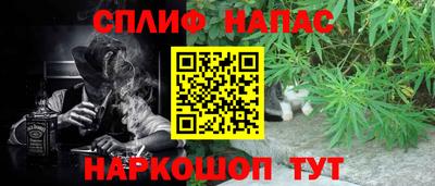 наркотики Сланцы