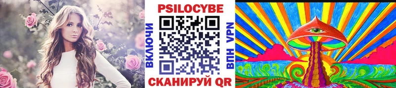 Галлюциногенные грибы Psilocybe наркотики Псков
