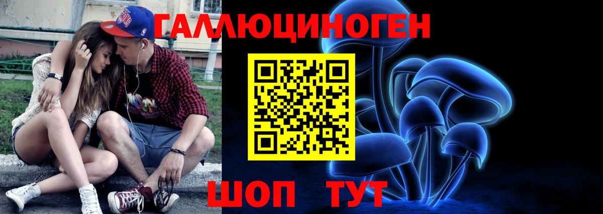 Псилоцибиновые грибы GOLDEN TEACHER  где продают наркотики  Вход с VPN  Псков  Галлюциногенные грибы GOLDEN TEACHER 