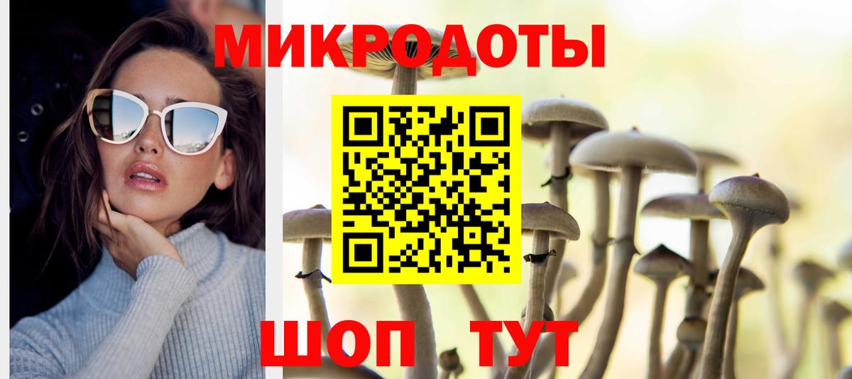 Псилоцибиновые грибы прущие грибы Псков